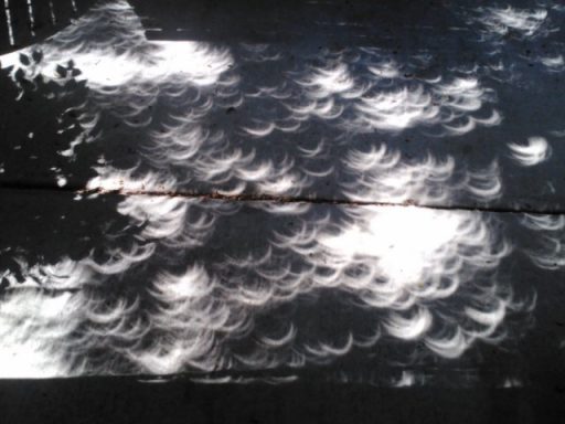 Sunlight creating a dappled pattern on a surface, resembling crescent shapes.